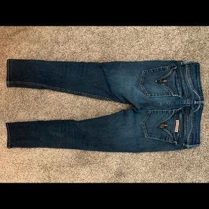 Hudson Krista Skinny Cropped Ankle Jean